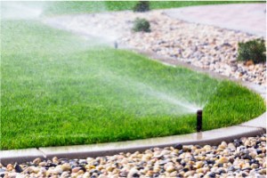 Residential Irrigation Services